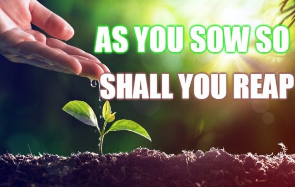 You Reap What You Sow Bible Meaning and Explanation Inspirational